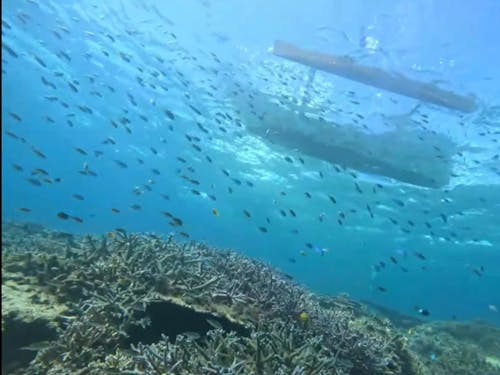 シュノーケルの海中からサバニを見上げる