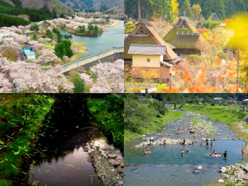 四季を彩るスポットがたくさん！