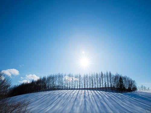 冬は降雪量が少ない方で過ごしやすいです