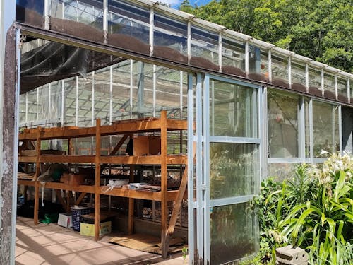 活動場所の1つとして想定している池の窪グリーンパークの温室