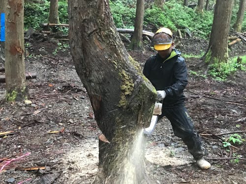 現場作業員の仕事/これぞ林業!という醍醐味を味わえます!
