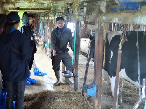 酪農の基礎から体験的に学ぶ