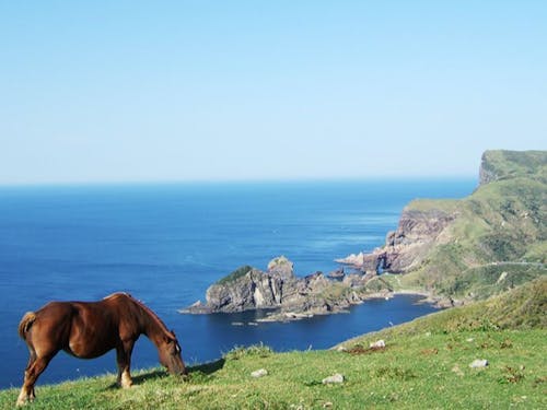 自然が創り出す圧巻の風景を体感できる!