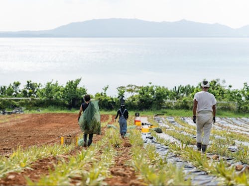 山中さん、奥村さん、宮崎さん