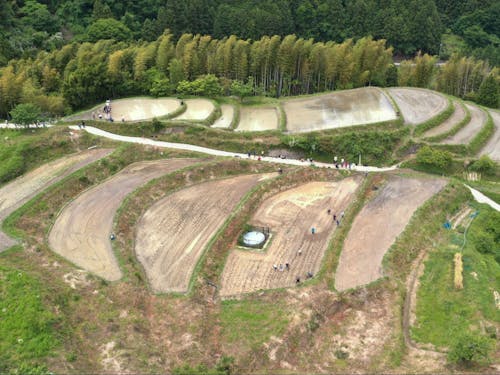 棚田を再生し、場所は整えた。だから、今度は米作りに一緒に取り組む人と出会いたい。