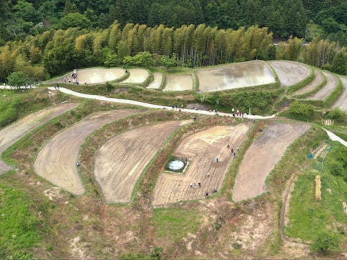 棚田を再生し、場所は整えた。だから、今度は米作りに一緒に取り組む人と出会いたい。