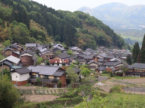 板仕野集落のようす