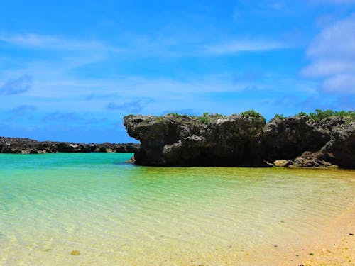 美しい喜界島。焼酎を通して何が見えるのか。