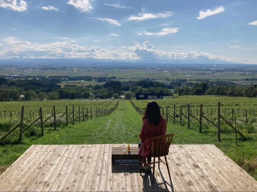 絶景テラス「MAOI SALUD」 町の丘陵地帯からの風景です!