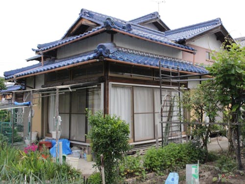 現在も野菜・果物を作られています