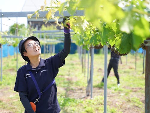 第1次産業の現場で働く大人の島留学生