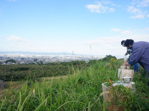 山の辺の道の景色