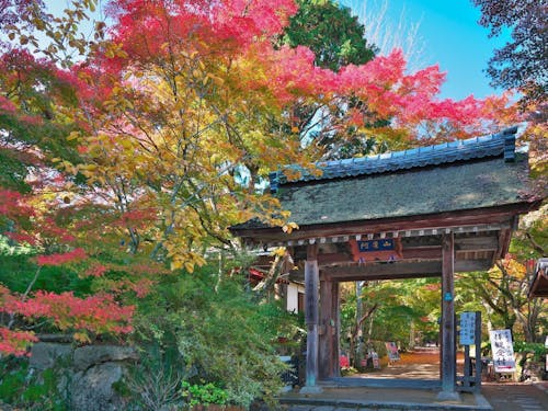 歴史的建造物も全国でトップクラスにあります。