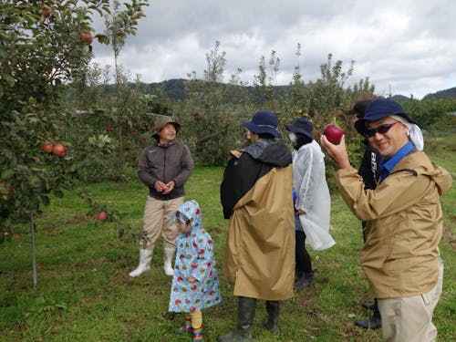 前々回ツアーの様子（りんご収穫体験）