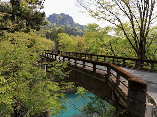 ゲスト:石村隆徳さん撮影