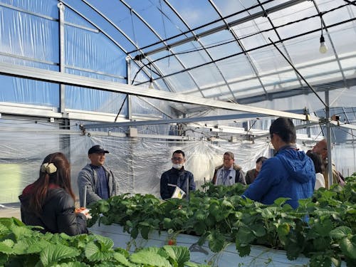 過去のツアーの様子