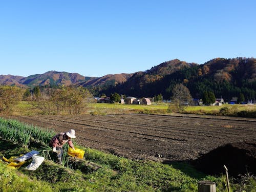 ワークの合間に、農家民宿から見える景色でリフレッシュ