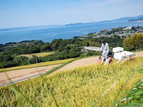 大村湾がのぞめる田園風景が広がる　©くじらの髭