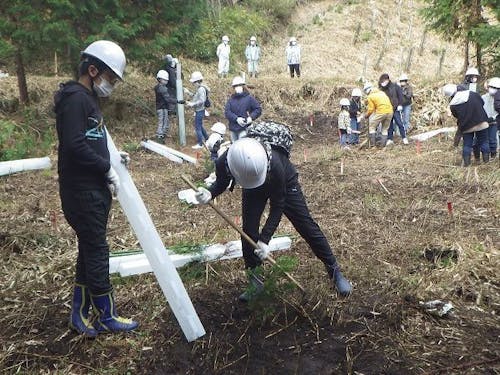 植樹体験の様子