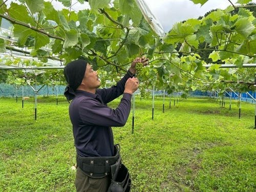 先輩隊員、困ったことがあれば相談に乗ってくれます