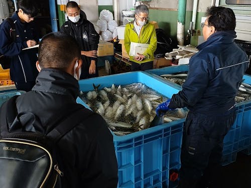 農業・漁業が主要な産業