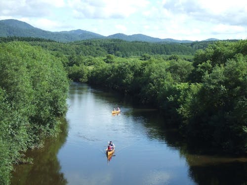 夏はカヌーも楽しめます♪