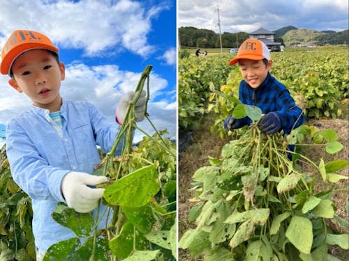 大きな枝豆！子供も大喜び♪
