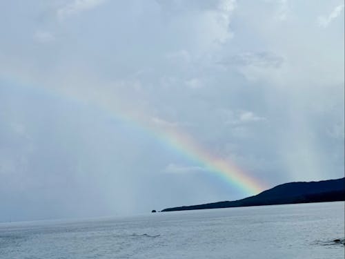 出港時に見えた大きな虹