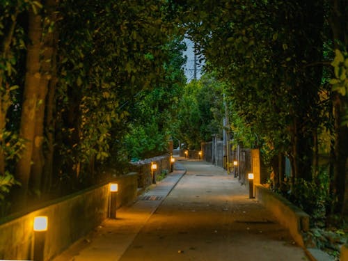 沖縄本島周辺離島より沖縄県島尻群渡名喜村。写真は村道のフットライト。