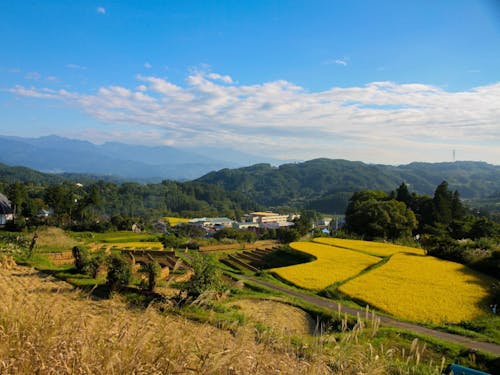 中野市も自然は豊か。日本の原風景が今も残っています。
