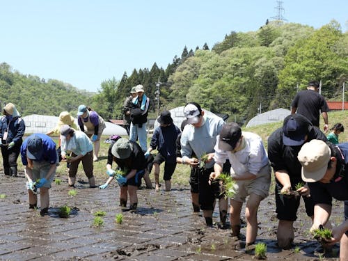 基幹産業は農業。新規就農支援や農業体験にも力を入れています。