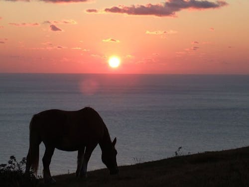 赤尾展望所の夕日もおススメ！
