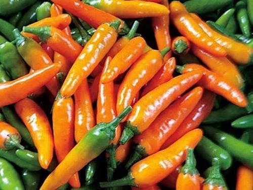 弥平とうがらし