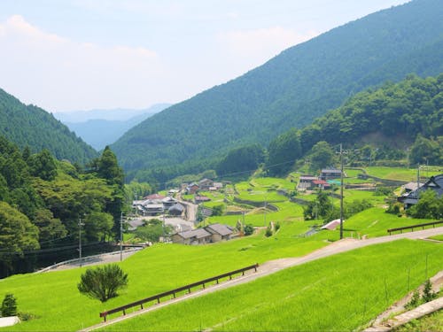 多可町岩座神の棚田