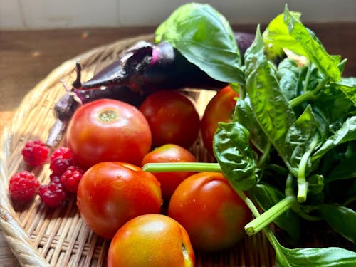 家庭菜園で育てた夏野菜