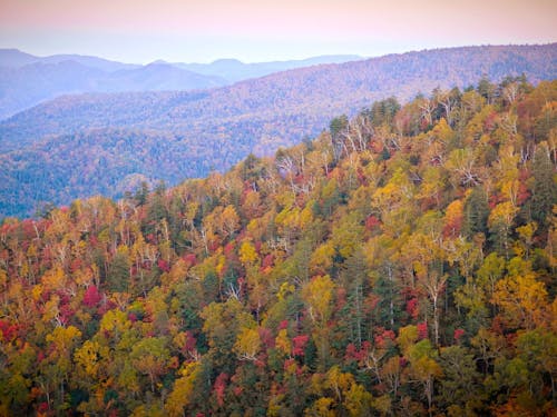大雪山系・黒岳を仰ぐロケーションで、北海道の自然の息づかいを感じられます。