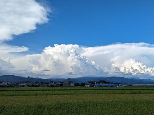 夏は大迫力の入道雲が空いっぱいに…✨