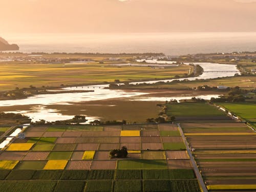 大同川から琵琶湖方面の田園風景