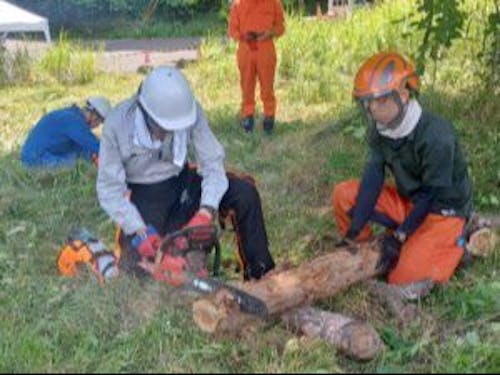 チェーンソー体験の様子