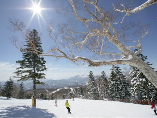 冬にはスノースポーツも楽しめます!