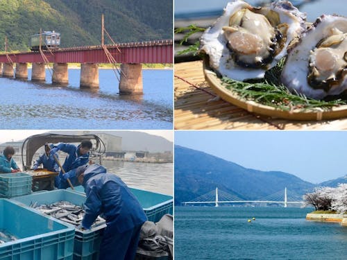 海の暮らし、お伝えします。