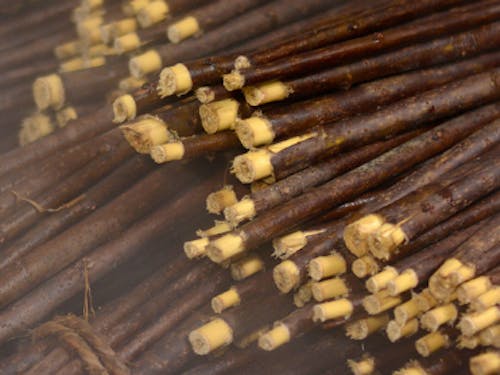 和紙の原料　楮（こうぞ）蒸し