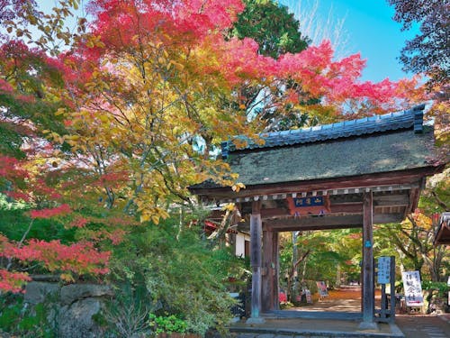 歴史的建造物も全国でトップクラスにあります。