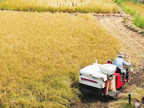 本格的な作業体験もできます