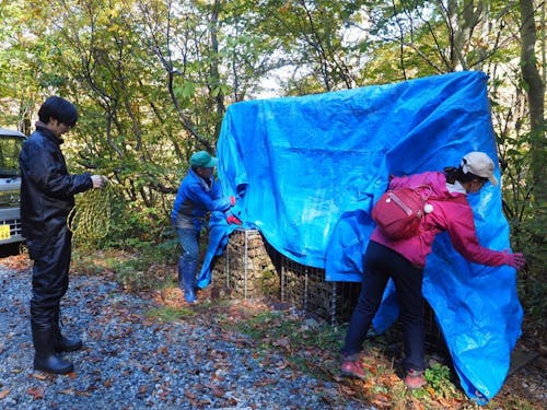 昨年の作業の様子です!