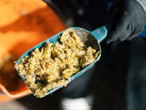 発酵させた飼料