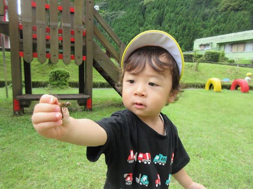 園庭で虫取りも。