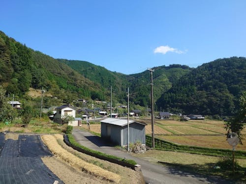 11/2にツアーを行う大正中津川の風景