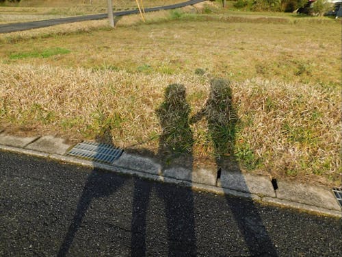 フリーランスで翻訳の仕事をする安達さん。夫婦で犬の散歩が日課。