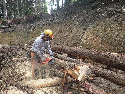 現場作業員:これぞ林業という醍醐味を味わえます!